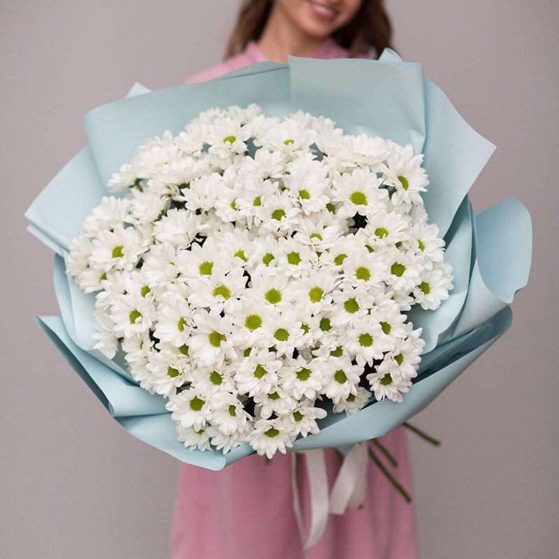 Хризантема Кишинев